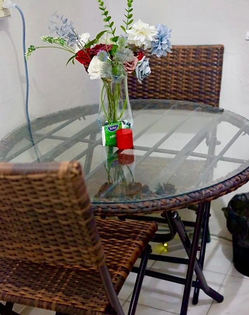 Apartment Embassy Visits & Event Stay Over Kingston